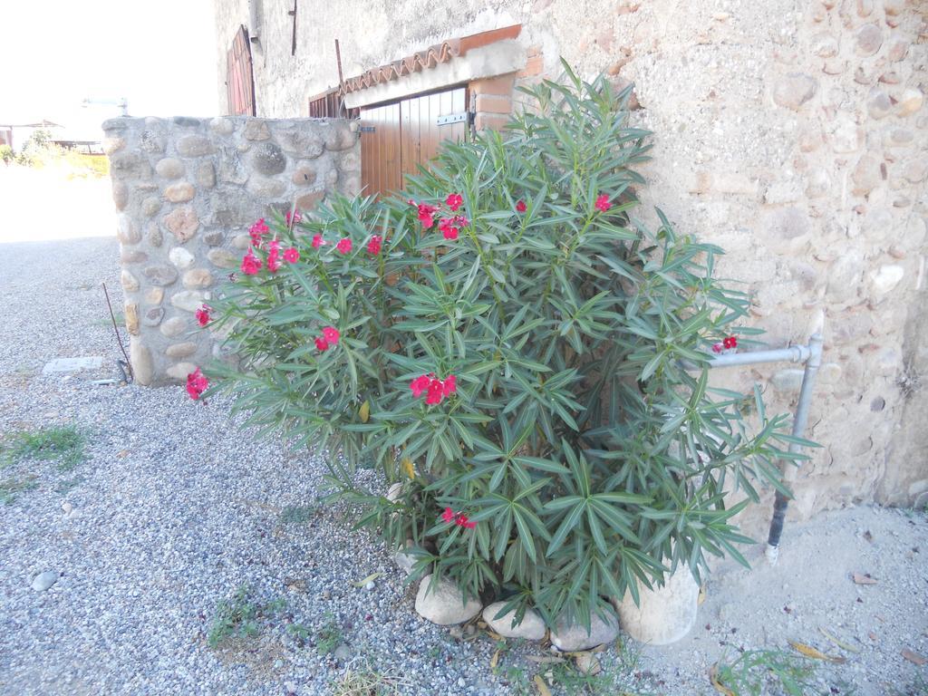 Agriturismo Le Mura Del Gherlo Villa Valeggio sul Mincio Eksteriør bilde